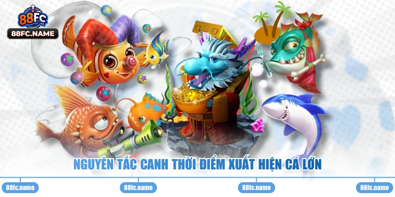 Nguyên tắc canh thời điểm xuất hiện cá lớn 